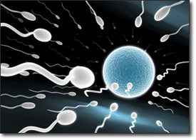 Infertility Innovations
