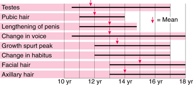 Puberty—when male sexual characteristics develop.