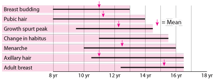 Puberty—when female sexual characteristics develop.