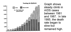 Graph shows steady climb in AIDS cases between 1981 and 1987. In late 1985, the death rate began to slow but remained high.