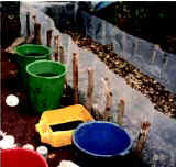 Photo of plastic buckets alongside coca leaves in a plastic-lined pit