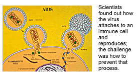 Scientists found out how the virus attaches to an immune cell and reproduces; the challenge was how to prevent that process.