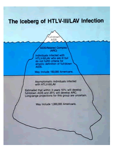 Because AIDS symptoms can take 10 years to develop, only a small fraction of the epidemic was visible early on.