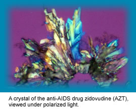 A crystal of the anti-AIDS drug zidovudine (AZT), viewed under polarized light.